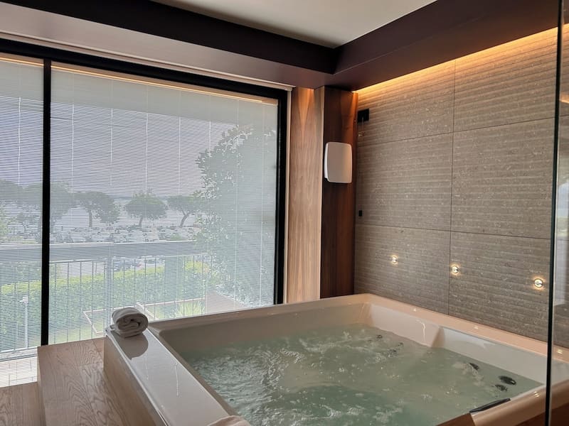 Private plunge pool at Alevic Hotel Sirmione, Sirmione — photo 4