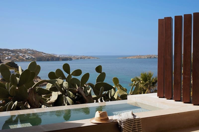 Private plunge pool at Bill&Coo Mykonos, Mykonos, photo 6