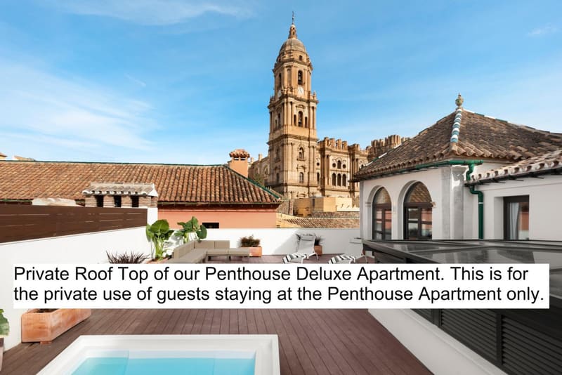 Private jacuzzi at Coeo Fresca Roof Garden Signature Apartments, Malaga, photo 5