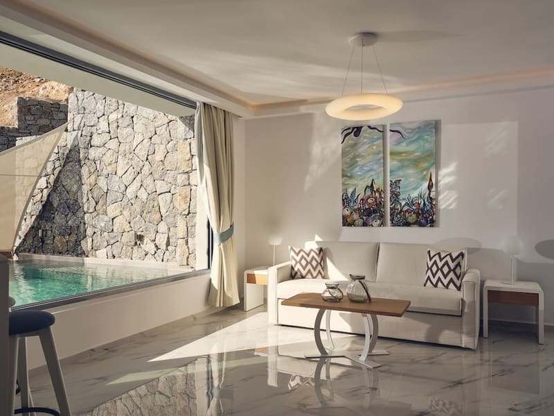 Private plunge pool at ΑRCS Suites & Residences, Mykonos, photo 5